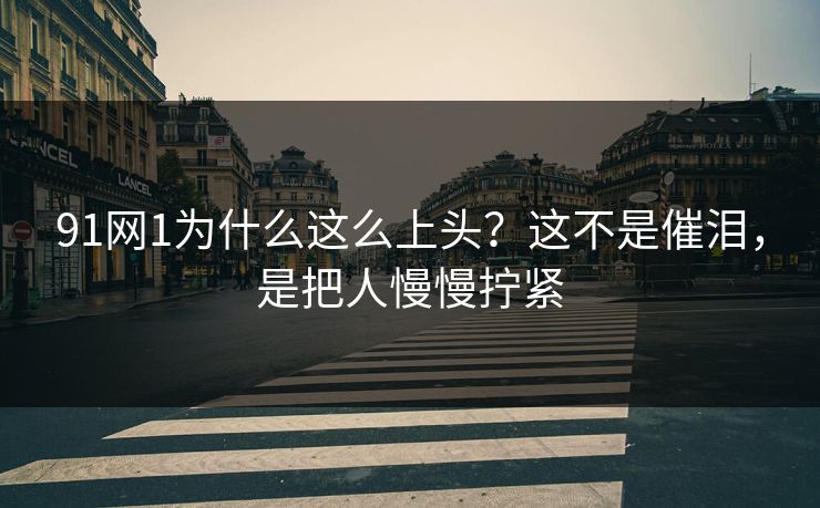 91网1为什么这么上头？这不是催泪，是把人慢慢拧紧