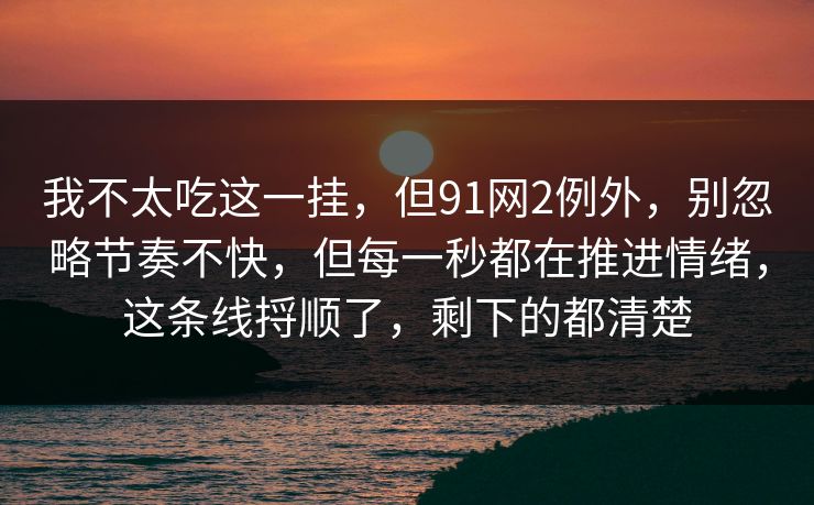 我不太吃这一挂，但91网2例外，别忽略节奏不快，但每一秒都在推进情绪，这条线捋顺了，剩下的都清楚
