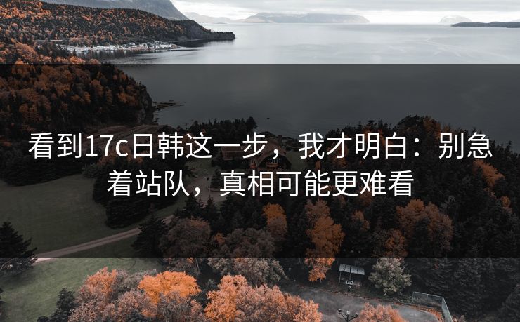 看到17c日韩这一步，我才明白：别急着站队，真相可能更难看