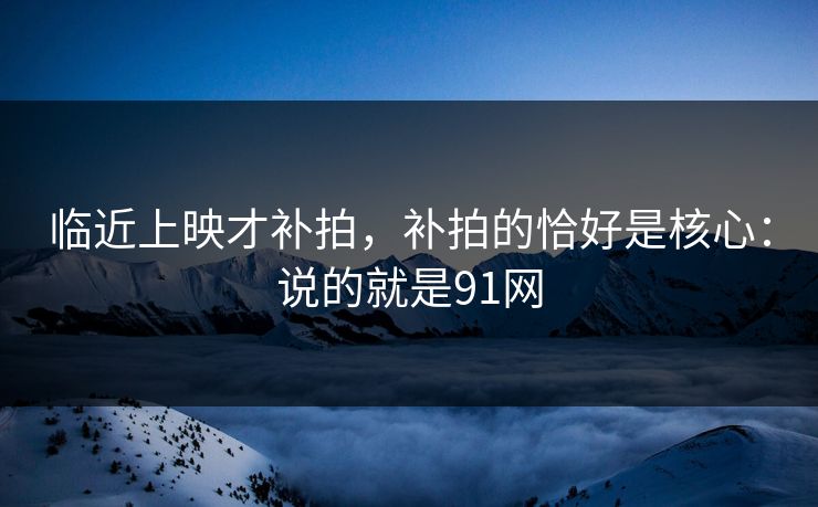 临近上映才补拍，补拍的恰好是核心：说的就是91网