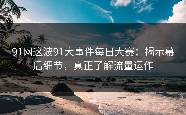 91网这波91大事件每日大赛：揭示幕后细节，真正了解流量运作