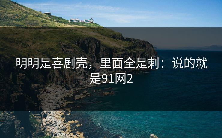 明明是喜剧壳，里面全是刺：说的就是91网2