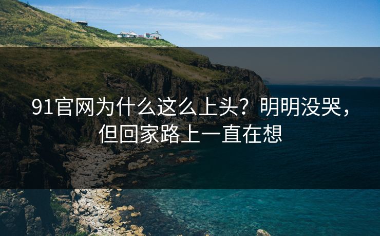 91官网为什么这么上头？明明没哭，但回家路上一直在想